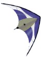 CM Production: CESSNA 182 Skylane (140 ARF)