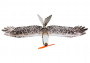 Samokrídlo Eagle EPP 1430mm (stavebnica)