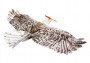 Samokrídlo Eagle EPP 1430mm (stavebnica)