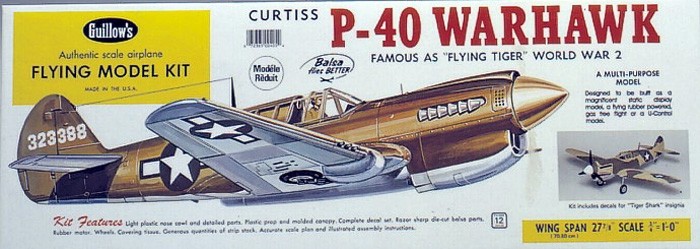Náhľad produktu - P-40 Warhawk 711mm (laserom vyrezávaný)