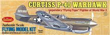 Náhľad produktu - Curtiss P-40 Warhawk 419mm