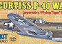 Curtiss P-40 Warhawk 419mm