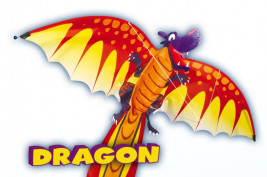 Dragon 3D - 120 x 320 cm 
