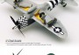 1:72 P-47D THUNDERBOLT