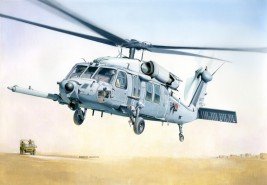 1:48 MH - 60K Blackhawk SOA