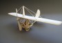 Monoplane ″LEA″ - papierový model