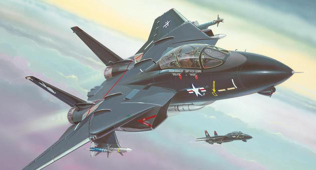 Náhľad produktu - 1:144 F-14 Black Tomcat