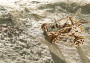 Drevené 3D mechanické puzzle – piesočná buggy