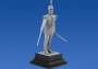 1:16 French Republican Guard Officer