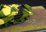1:43 T-62M