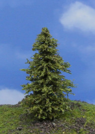 Modelárský strom – smrekovec zelený, výška 6–9 cm