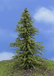 Modelárský strom – smrekovec zelený, výška 8–11 cm