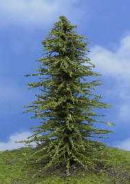 Modelárský strom – smrekovec zelený, výška 13–14 cm
