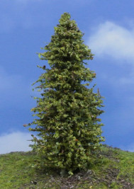 Modelárský strom – smrekovec zelený, výška 16–18 cm