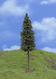 Modelárský strom – smrek s kmeňom TOP, výška 12–14 cm