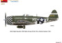 1:48 Republic P-47D-25RE Thunderbolt (Basic Kit)