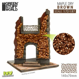 Ivy Foliage – listová foliáž javor hnedý (malý)