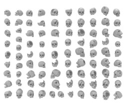 Resin Skulls – resinové lebky (85 ks)