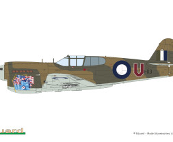 1:48 Curtiss P-40E Warhawk (Dual Combo Royal Class)