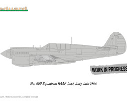 1:48 Curtiss P-40N Warhawk (Royal Class, Dual Combo)