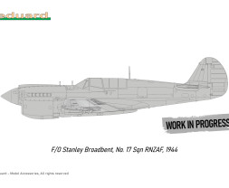 1:48 Curtiss P-40N Warhawk (Royal Class, Dual Combo)