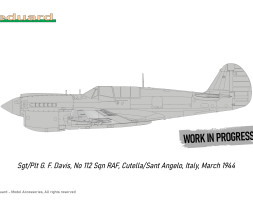 1:48 Curtiss P-40N Warhawk (Royal Class, Dual Combo)