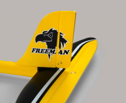 Freeman V3 Elec Env.1580mm 2.4G 4CH RTF Glider