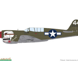 1:48 Curtiss P-40N Warhawk (ProfiPACK edition)