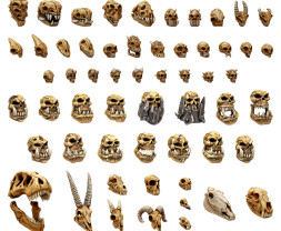 3D Printed Set Battlefield Creature Skulls – 3D tlačené lebky monštier (300 ks)