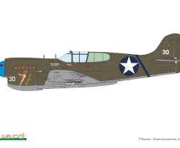 1:48 Curtiss P-40K Warhawk (Royal Class, Dual Combo)