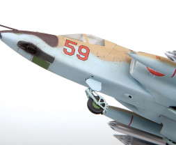 1:72 Suchoj Su-25 „Frogfoot“