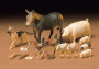 1:35 Livestock Set